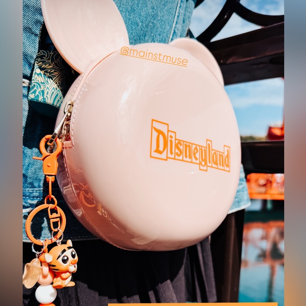 Disneyland bag plastic material removable straps